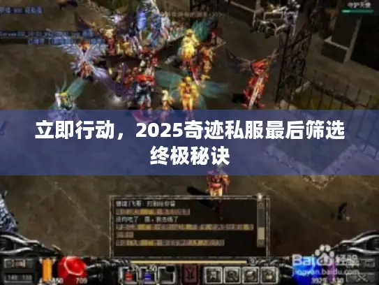 立即行动，2025奇迹私服最后筛选终极秘诀