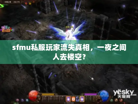 sfmu私服玩家流失真相，一夜之间人去楼空？