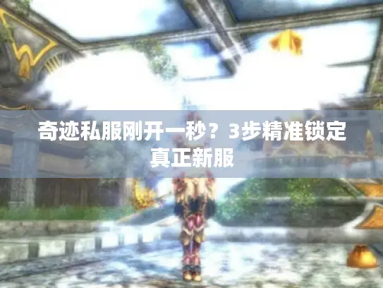 奇迹私服刚开一秒?3步精准锁定真正新服 奇迹私服刚开一秒?3步精准锁定真正新服