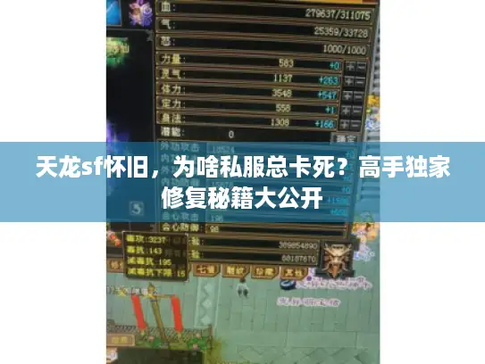 天龙sf怀旧,为啥私服总卡死?高手独家修复秘籍大公开 天龙sf怀旧,为啥私服总卡死?高手独家修复秘籍大公开