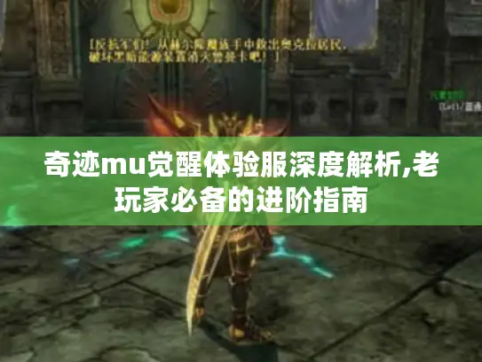 奇迹mu觉醒体验服深度解析,老玩家必备的进阶指南