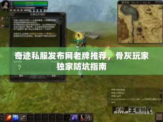 奇迹私服发布网老牌推荐，骨灰玩家独家防坑指南