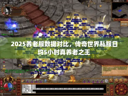 2025养老服数据对比，传奇世界私服日均5小时真养老之王