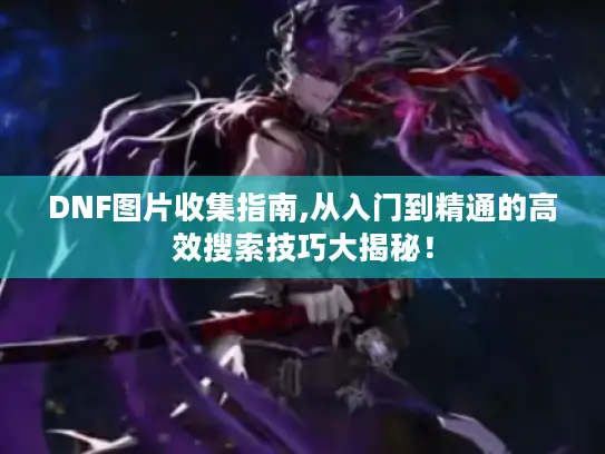 DNF图片收集指南,从入门到精通的高效搜索技巧大揭秘！