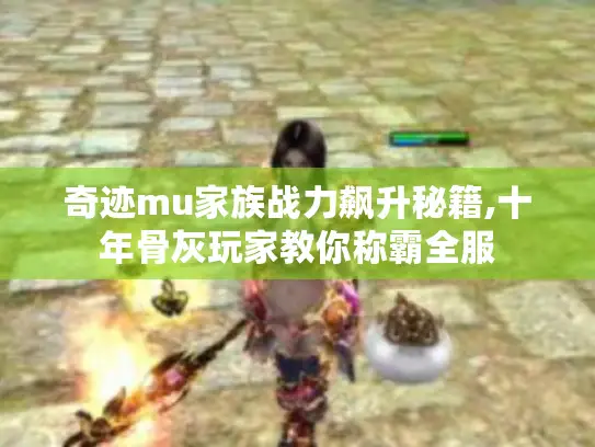 奇迹mu家族战力飙升秘籍,十年骨灰玩家教你称霸全服 奇迹mu家族战力飙升秘籍,十年骨灰玩家教你称霸全服