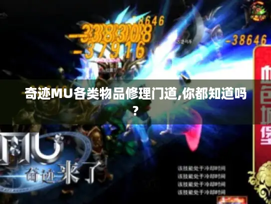 奇迹MU各类物品修理门道,你都知道吗?