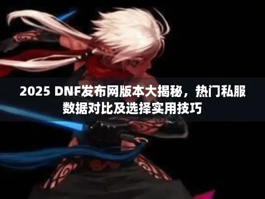 2025 DNF发布网版本大揭秘，热门私服数据对比及选择实用技巧