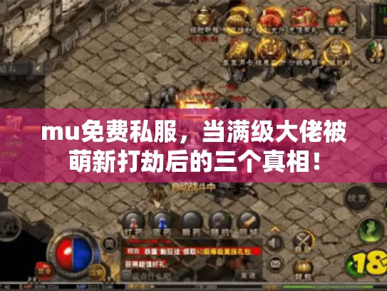 mu免费私服,当满级大佬被萌新打劫后的三个真相! mu免费私服,当满级大佬被萌新打劫后的三个真相!