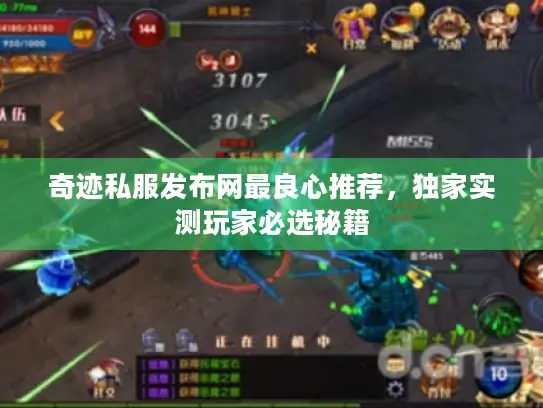 奇迹私服发布网最良心推荐，独家实测玩家必选秘籍