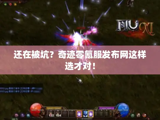 还在被坑？奇迹零氪服发布网这样选才对！