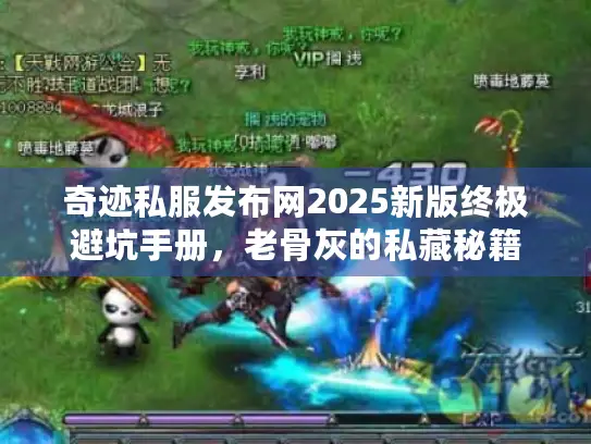 奇迹私服发布网2025新版终极避坑手册，老骨灰的私藏秘籍