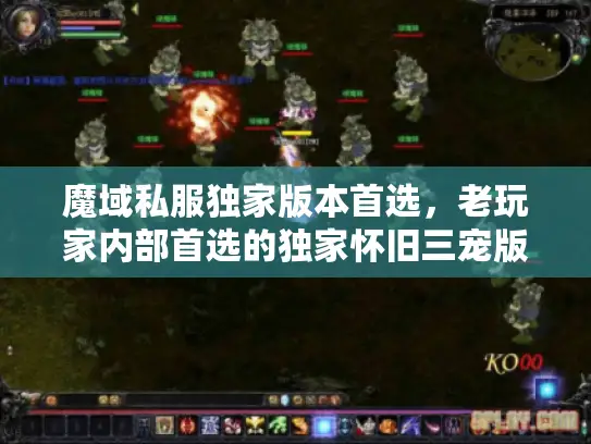 魔域私服独家版本首选，老玩家内部首选的独家怀旧三宠版