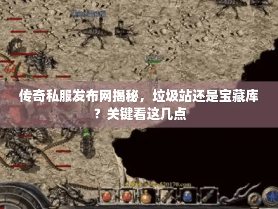 传奇私服发布网揭秘，垃圾站还是宝藏库？关键看这几点
