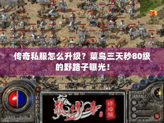 传奇私服怎么升级？菜鸟三天秒80级的野路子曝光！