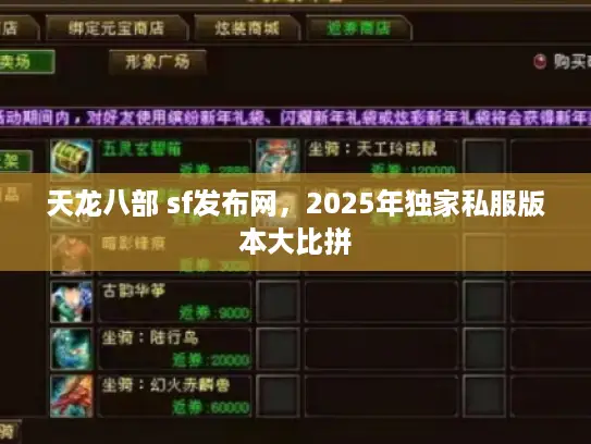 天龙八部 sf发布网，2025年独家私服版本大比拼
