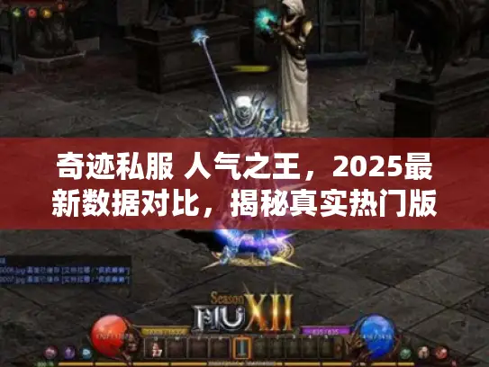 奇迹私服 人气之王，2025最新数据对比，揭秘真实热门版本