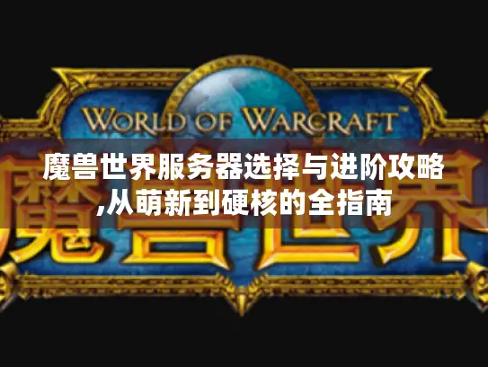魔兽世界服务器选择与进阶攻略,从萌新到硬核的全指南