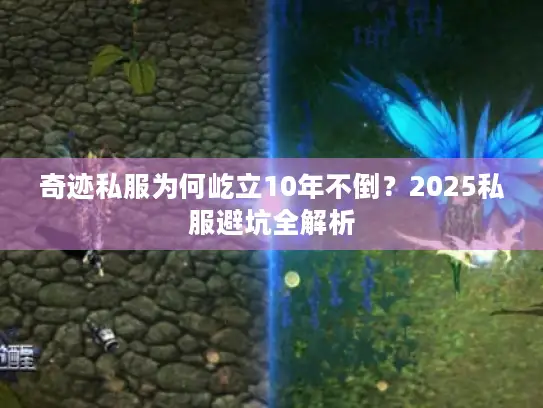 奇迹私服为何屹立10年不倒?2025私服避坑全解析 奇迹私服为何屹立10年不倒?2025私服避坑全解析