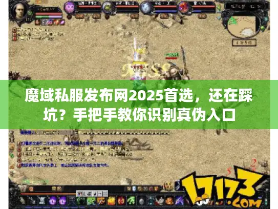 魔域私服发布网2025首选，还在踩坑？手把手教你识别真伪入口