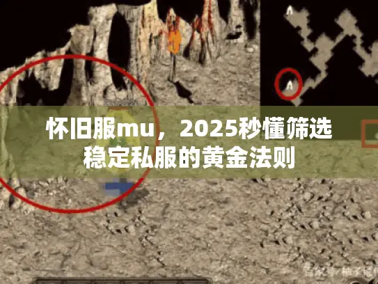 怀旧服mu，2025秒懂筛选稳定私服的黄金法则