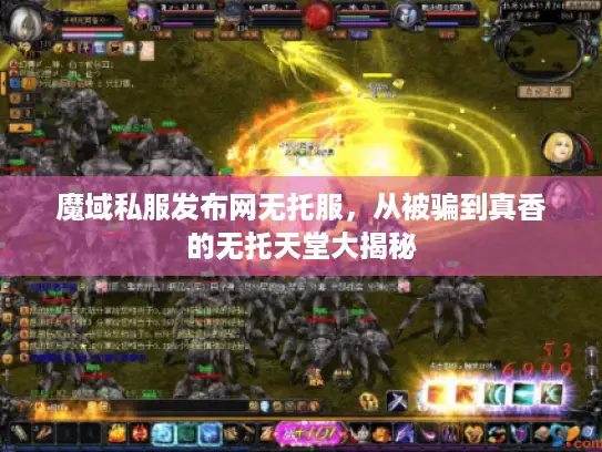 魔域私服发布网无托服，从被骗到真香的无托天堂大揭秘