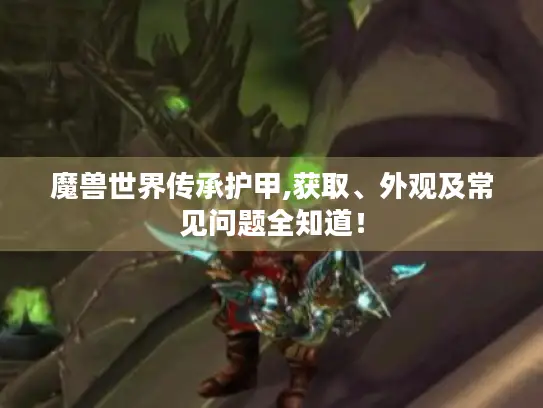魔兽世界传承护甲,获取、外观及常见问题全知道！