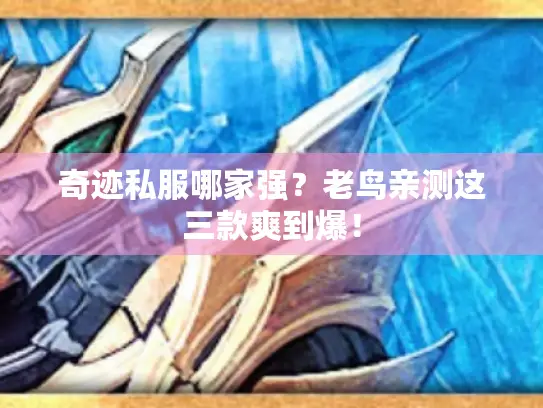 奇迹私服哪家强?老鸟亲测这三款爽到爆! 奇迹私服哪家强?老鸟亲测这三款爽到爆!