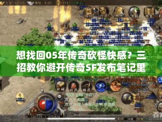 想找回05年传奇砍怪快感？三招教你避开传奇SF发布笔记里的坑服！