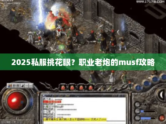 2025私服挑花眼?职业老炮的musf攻略 2025私服挑花眼?职业老炮的musf攻略