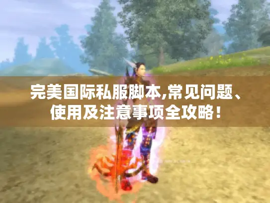 完美国际私服脚本,常见问题、使用及注意事项全攻略！