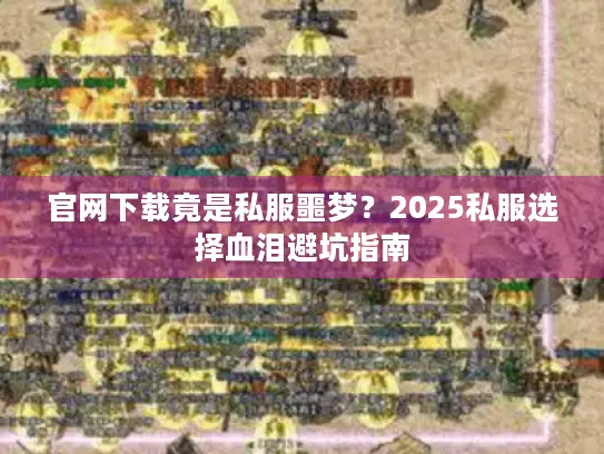 官网下载竟是私服噩梦？2025私服选择血泪避坑指南
