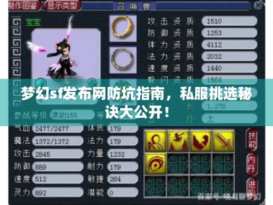 梦幻sf发布网防坑指南,私服挑选秘诀大公开! 梦幻sf发布网防坑指南,私服挑选秘诀大公开!