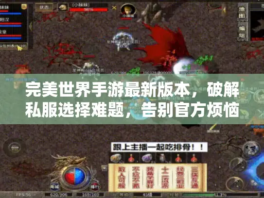 完美世界手游最新版本，破解私服选择难题，告别官方烦恼