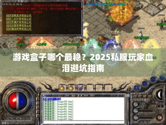 游戏盒子哪个最稳?2025私服玩家血泪避坑指南 游戏盒子哪个最稳?2025私服玩家血泪避坑指南