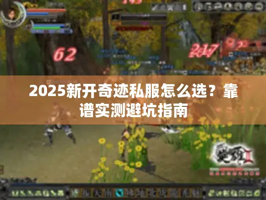2025新开奇迹私服怎么选？靠谱实测避坑指南