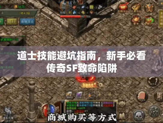 道士技能避坑指南，新手必看传奇SF致命陷阱