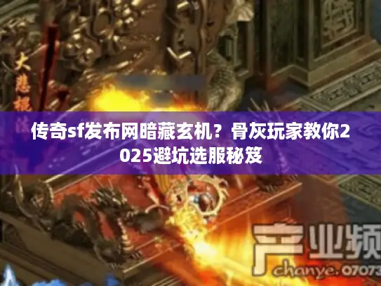 传奇sf发布网暗藏玄机?骨灰玩家教你2025避坑选服秘笈 传奇sf发布网暗藏玄机?骨灰玩家教你2025避坑选服秘笈