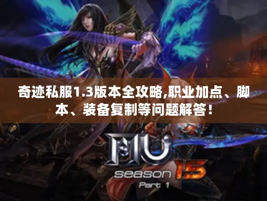 奇迹私服1.3版本全攻略,职业加点、脚本、装备复制等问题解答！