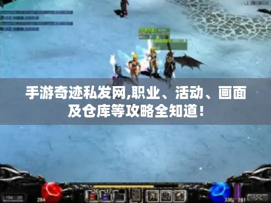 手游奇迹私发网,职业、活动、画面及仓库等攻略全知道！