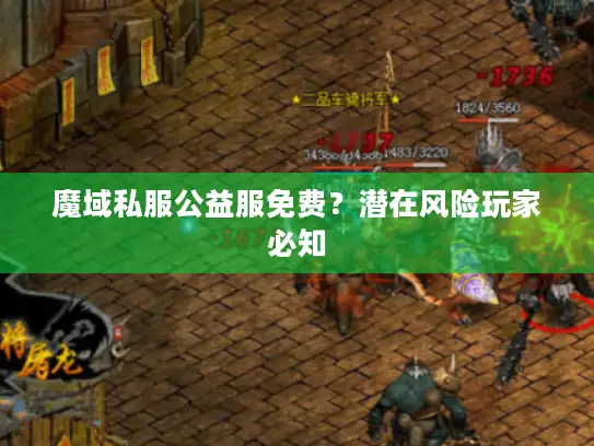 魔域私服公益服免费?潜在风险玩家必知 魔域私服公益服免费?潜在风险玩家必知