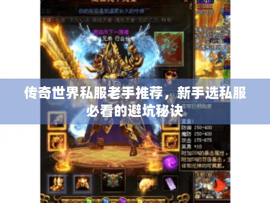 传奇世界私服老手推荐,新手选私服必看的避坑秘诀 传奇世界私服老手推荐,新手选私服必看的避坑秘诀