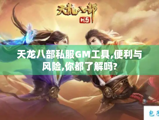 天龙八部私服GM工具,便利与风险,你都了解吗?