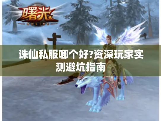 诛仙私服哪个好?资深玩家实测避坑指南