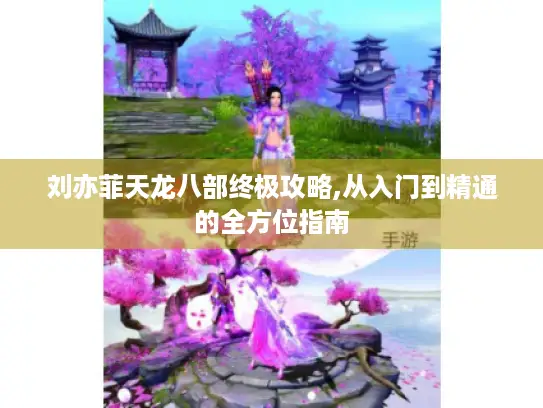 刘亦菲天龙八部终极攻略,从入门到精通的全方位指南