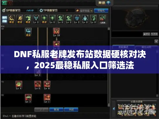 DNF私服老牌发布站数据硬核对决，2025最稳私服入口筛选法