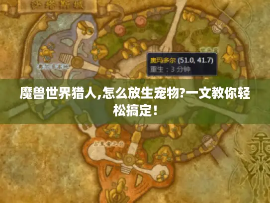 魔兽世界猎人,怎么放生宠物?一文教你轻松搞定! 魔兽世界猎人,怎么放生宠物?一文教你轻松搞定!