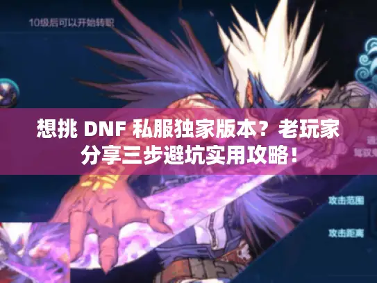 想挑 DNF 私服独家版本？老玩家分享三步避坑实用攻略！