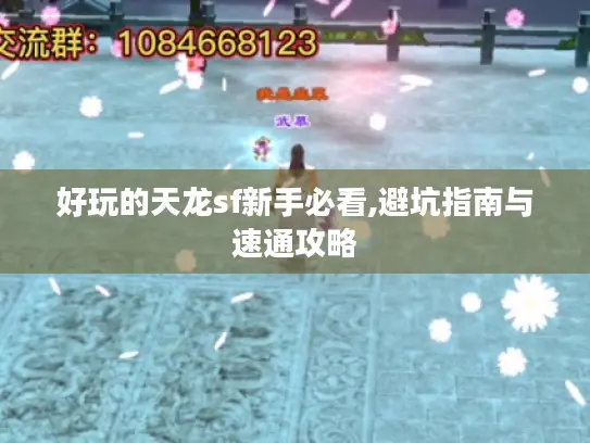 好玩的天龙sf新手必看,避坑指南与速通攻略 好玩的天龙sf新手必看,避坑指南与速通攻略