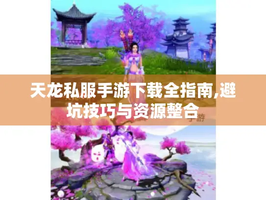 天龙私服手游下载全指南,避坑技巧与资源整合 天龙私服手游下载全指南,避坑技巧与资源整合
