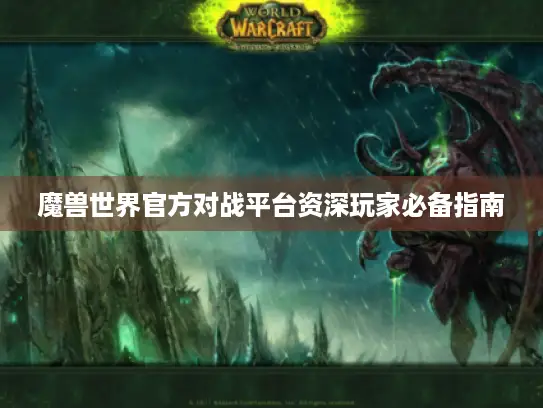 魔兽世界官方对战平台资深玩家必备指南
